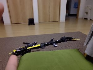 色違いメガレックウザ