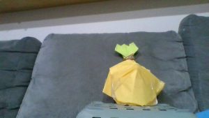 メガウツボット作って見ました