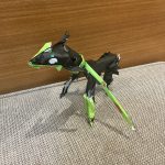 IMG_3356.jpeg