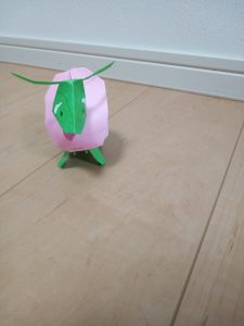 メガメガニウム