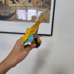 1000008306-2.jpg