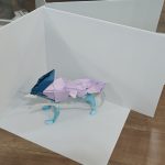 1000016215-1.jpg