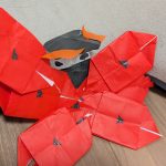 5986.jpg