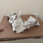 IMG_0850.jpeg