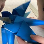 IMG_2442.jpeg