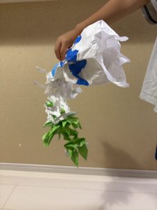 メガジガルデ色違い