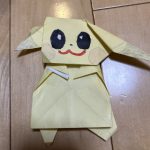 IMG_8845.jpeg
