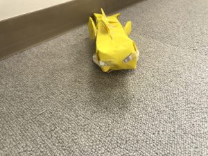 シャリタツのびたすがた