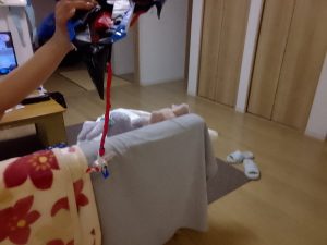 メガゲッコウガに化けたメガフラエッテ