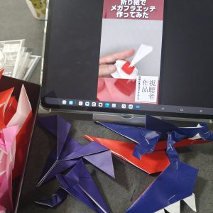 メガフラエッテ動画編集とかんたんメガガブリアス制作とムゲンダイマックス撮影