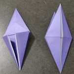 1000017385-2.jpg