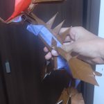 1000060243-0.jpg