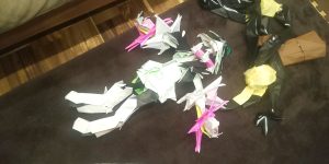 メガマスカーニャ第一段階