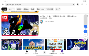 黒いメガミュウツー画像