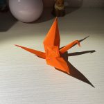 IMG_0516.jpeg