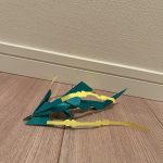 IMG_1361-0.jpeg