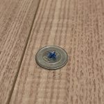 IMG_1531-1.jpeg