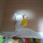 IMG_20260917_192929-1.jpg