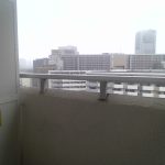 IMG_20260921_104417.jpg