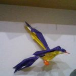 IMG_20260925_203758.jpg