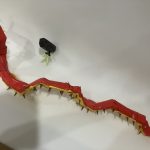 IMG_2055-1.jpeg