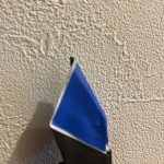 IMG_2215.jpeg