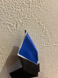 フラエッテ花のヒント3