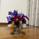 IMG_2267-0.jpeg
