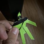 IMG_2672-1.jpeg