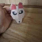 IMG_2954.jpeg