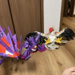 IMG_3702.jpeg