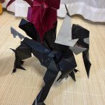 IMG_5876-0.jpeg