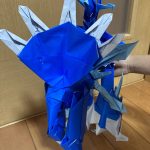 IMG_6852-2.jpeg