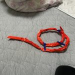IMG_6973-0.jpeg