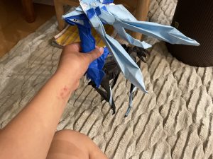ゼルネアス