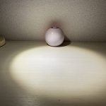 image.jpg