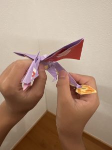 色違いメガリザードンY