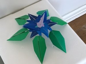 メガキラフロル