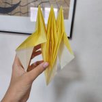 1000009152-1.jpg