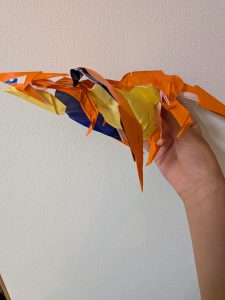 スマート立体メガリザードンY