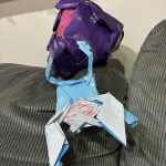 IMG_0033.jpeg