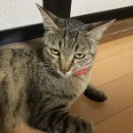 IMG_0194.jpeg
