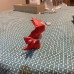 IMG_0238.jpeg