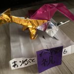 IMG_0329.jpeg