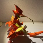 IMG_0706-1.jpeg