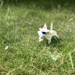 IMG_1234-0.jpeg