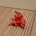 IMG_1606.jpeg