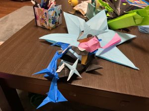 続けてメガゲッコウガ