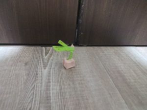 すももカミツオロチ