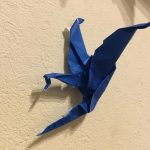 IMG_2217.jpeg